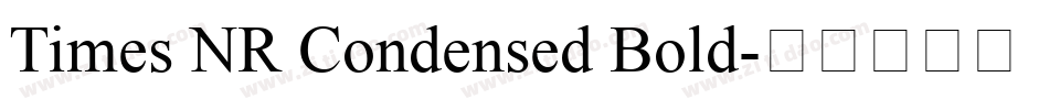 Times NR Condensed Bold字体转换